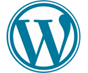 Wordpress theme development Services
